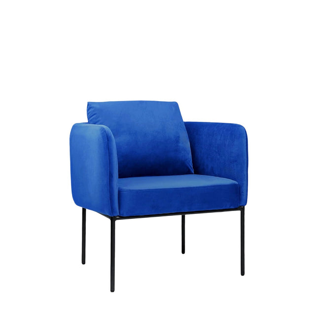 Modern Accent Chair – Soft Back, Metal Frame, Upholstered