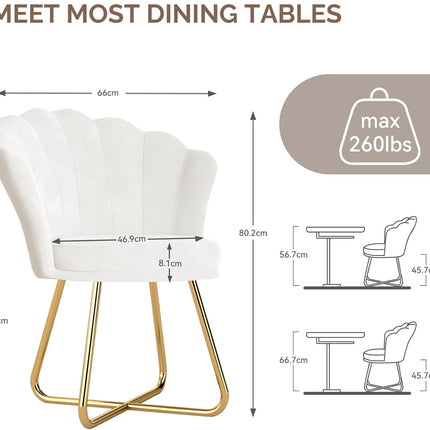 Modern Accent Chair – Petal Back Gold Metal Legs 130kg Capacity