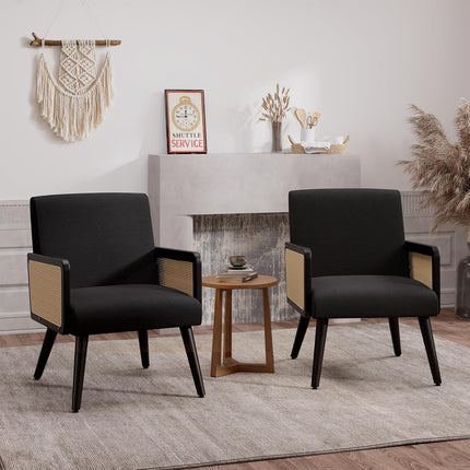 Rattan Accent Chairs – Wood Legs Modern Lounge Design Set of 2