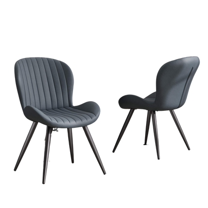 Modern Dining Chairs Set of 2