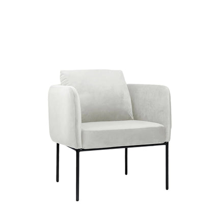 Modern Accent Chair – Soft Back, Metal Frame, Upholstered