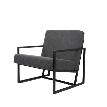 Teddy Fleece Accent Chair with Metal Frame Lounge Chair