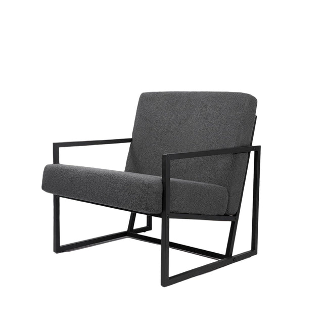 Teddy Fleece Accent Chair with Metal Frame Lounge Chair