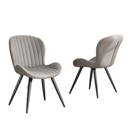 Modern Dining Chairs Set of 2