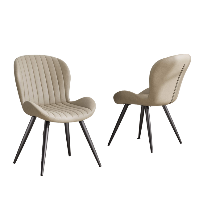 Modern Dining Chairs Set of 2